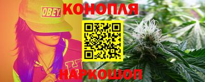 сатива Малгобек