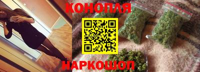 сатива Малгобек