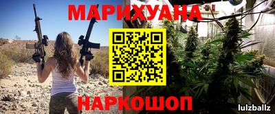 сатива Малгобек