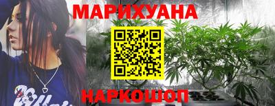 сатива Малгобек